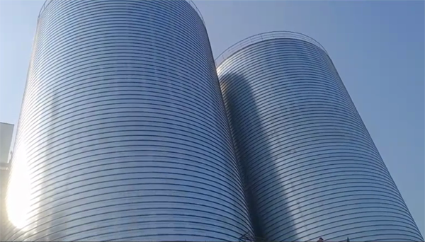 长安2座混凝土高架卷板仓